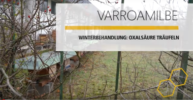 Varroa-Bekämpfung